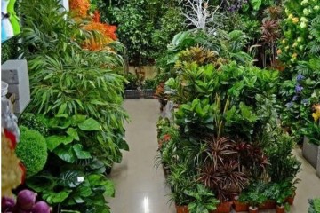 Top 5 cửa hàng cây giả đẹp, chất nhất nhì Nha Trang, Khánh Hòa